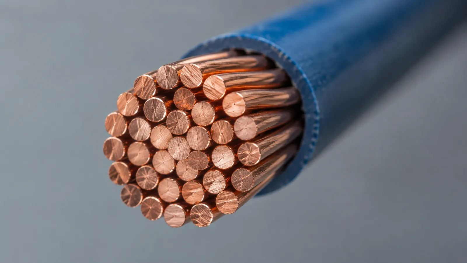 The cut end of a stranded copper conductor, close up